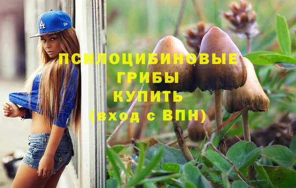 а пвп мука Алзамай