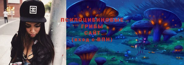 а пвп мука Алзамай